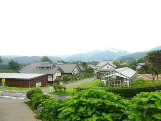 image-573b6.jpeg