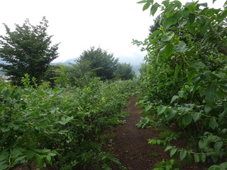 image-8e560.jpeg